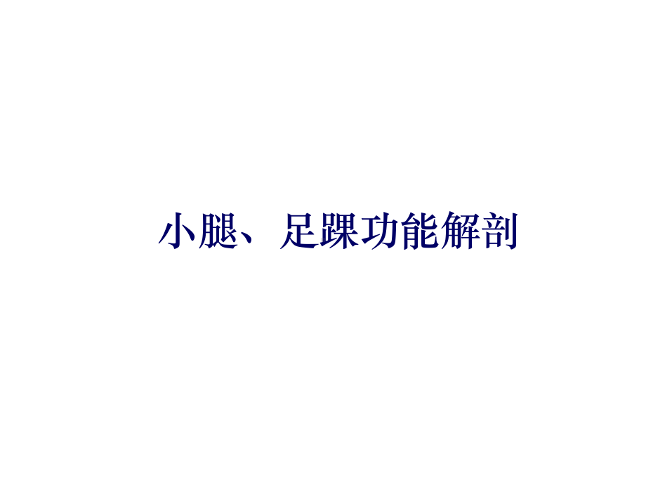 足踝部解剖讲课课件.ppt_第1页