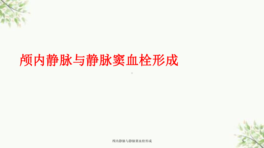 颅内静脉与静脉窦血栓形成课件.ppt_第1页