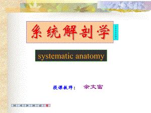 中枢神经系统nervoussystem课件-2.ppt