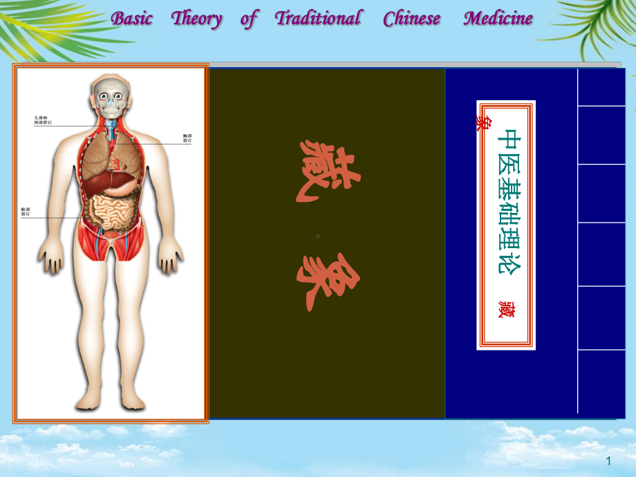 藏象学说五脏肾课件.ppt_第1页