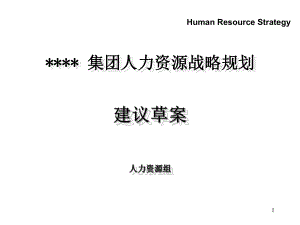 某某集团人力资源战略规划课件.ppt