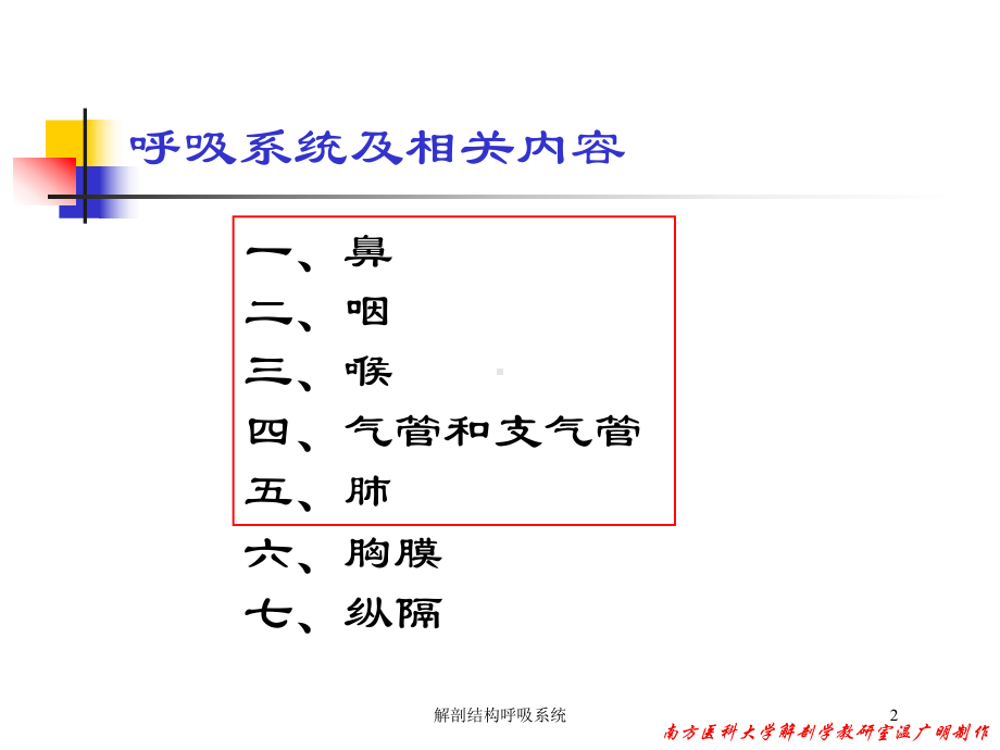 解剖结构呼吸系统培训课件.ppt_第2页