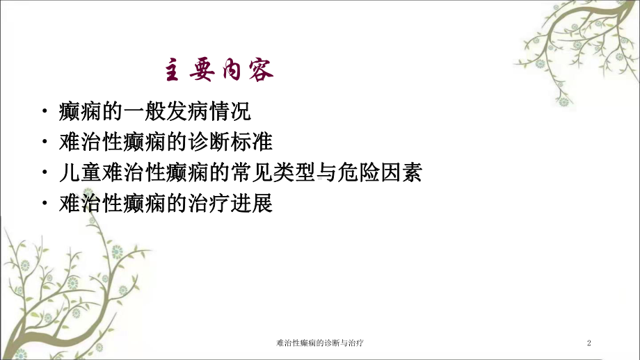 难治性癫痫的诊断与治疗课件.ppt_第2页