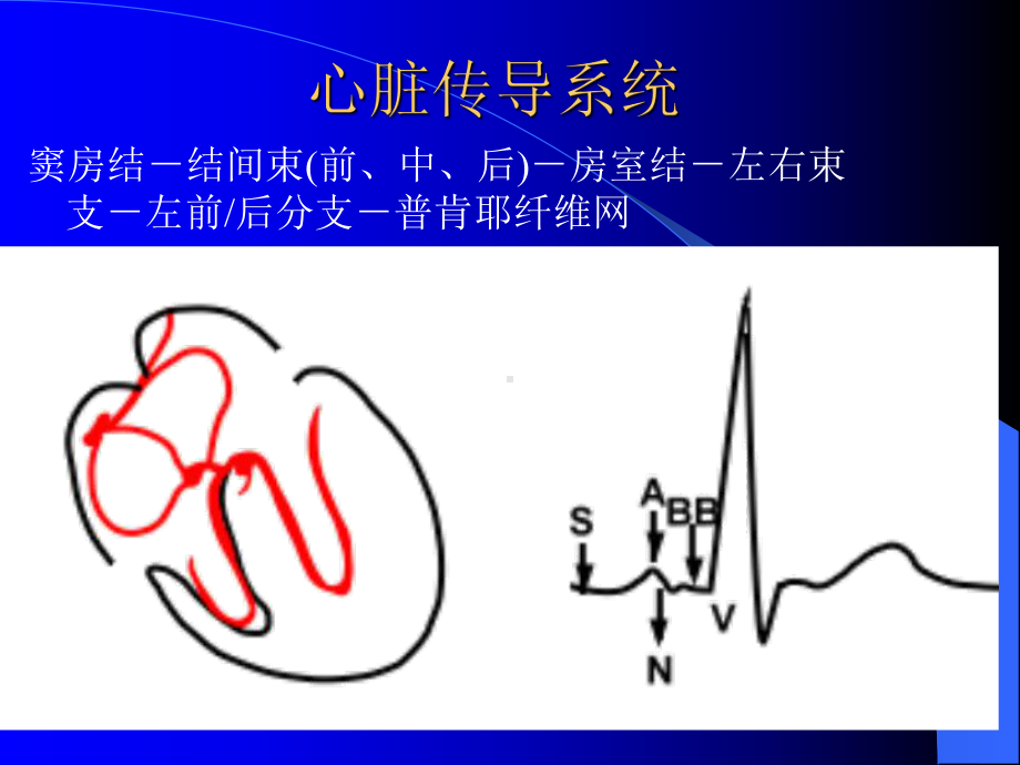 如何分析心电图课件1.ppt_第3页