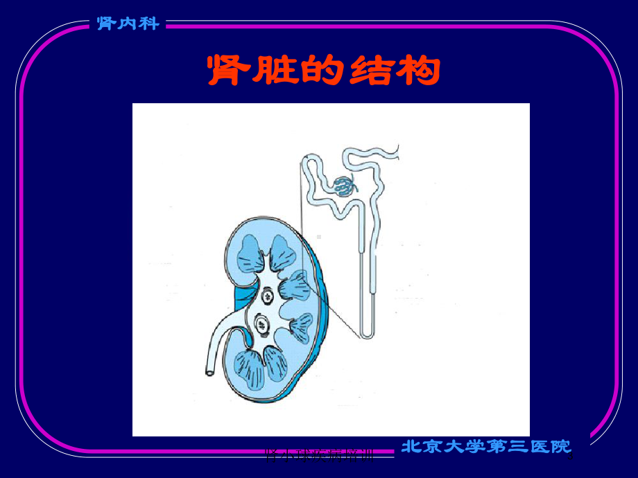 肾小球疾病培训培训课件.ppt_第3页