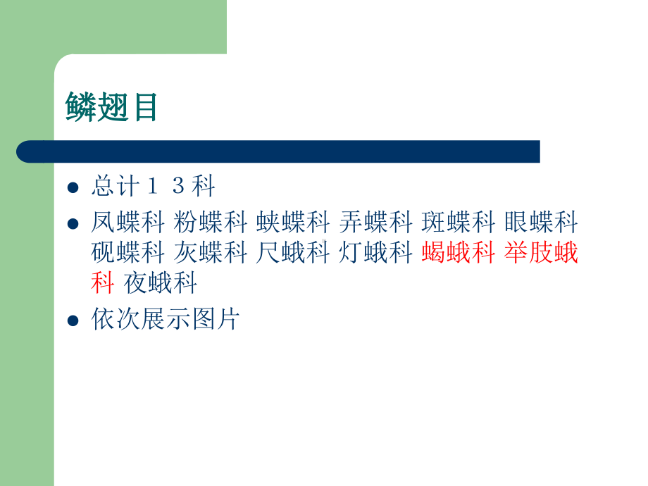 森林昆虫学实习报告课件.ppt_第3页