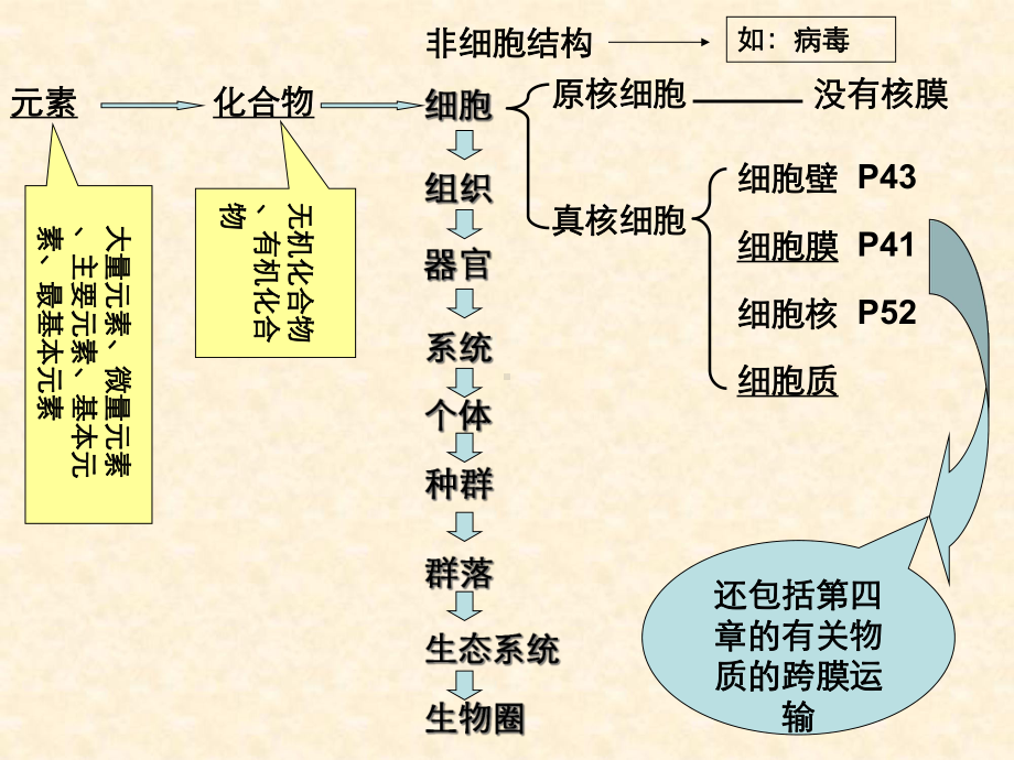 河南省生物会考知识点复习-必修课件1.ppt_第2页