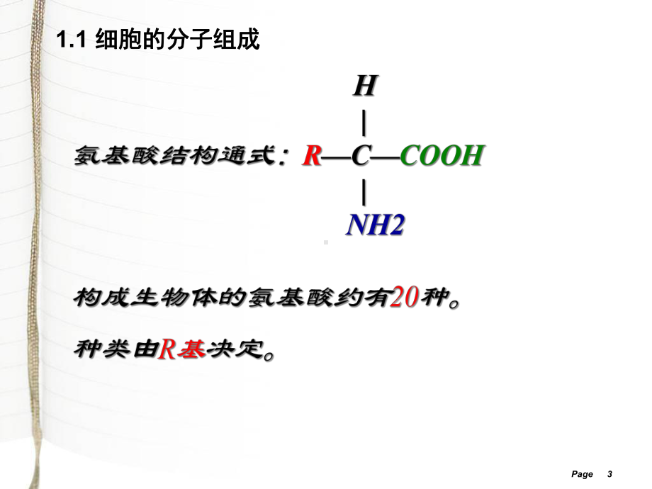 河南省生物会考知识点复习-必修课件1.ppt_第3页