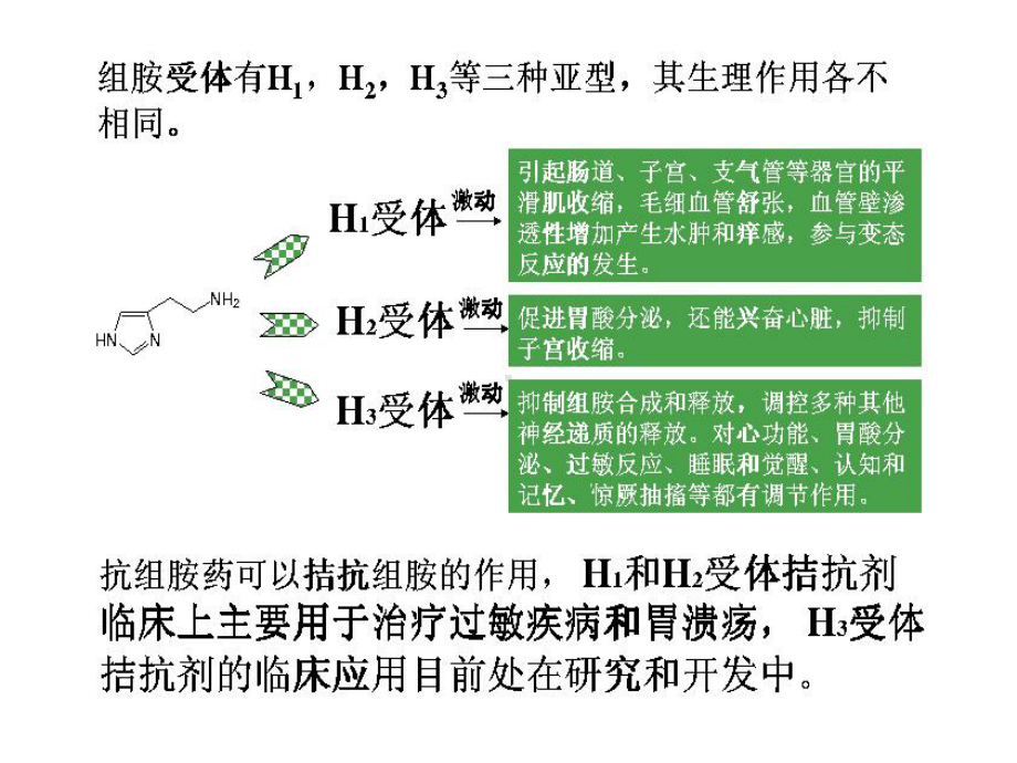 药理学课件-第十一章-组胺受体阻断药-抗过敏-抗溃疡药.ppt_第2页