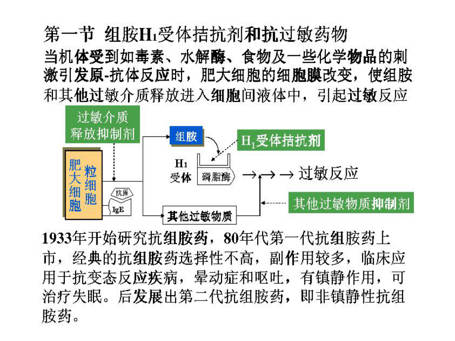 药理学课件-第十一章-组胺受体阻断药-抗过敏-抗溃疡药.ppt_第3页