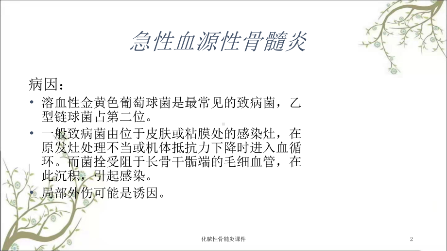 化脓性骨髓炎课件1.ppt_第2页