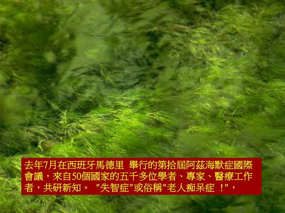 打造一个没有阿兹海默(老年失智症)的世界课件.ppt_第3页