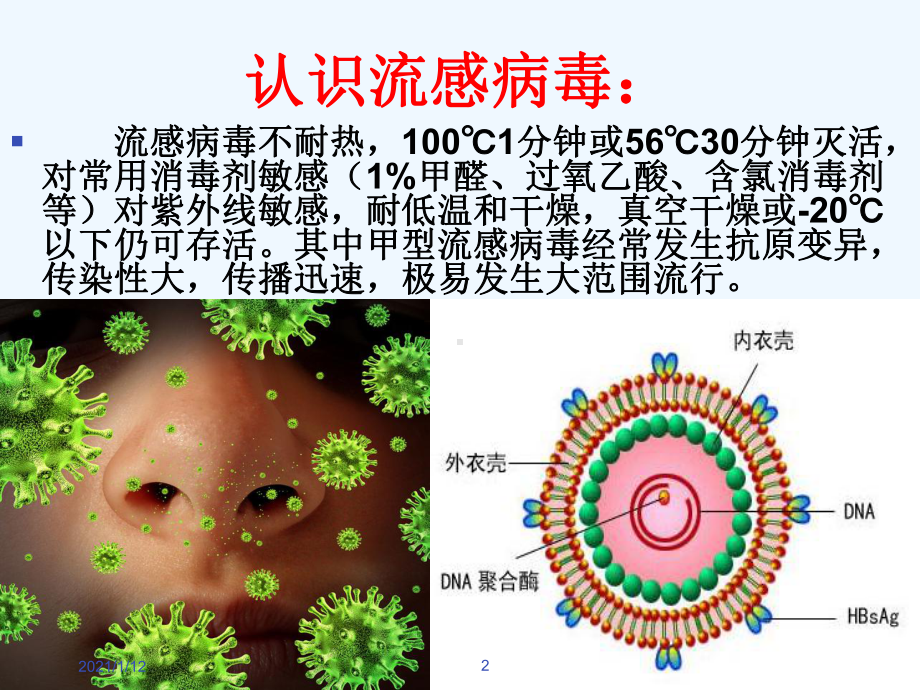 预防流感从我做起课件.ppt_第2页