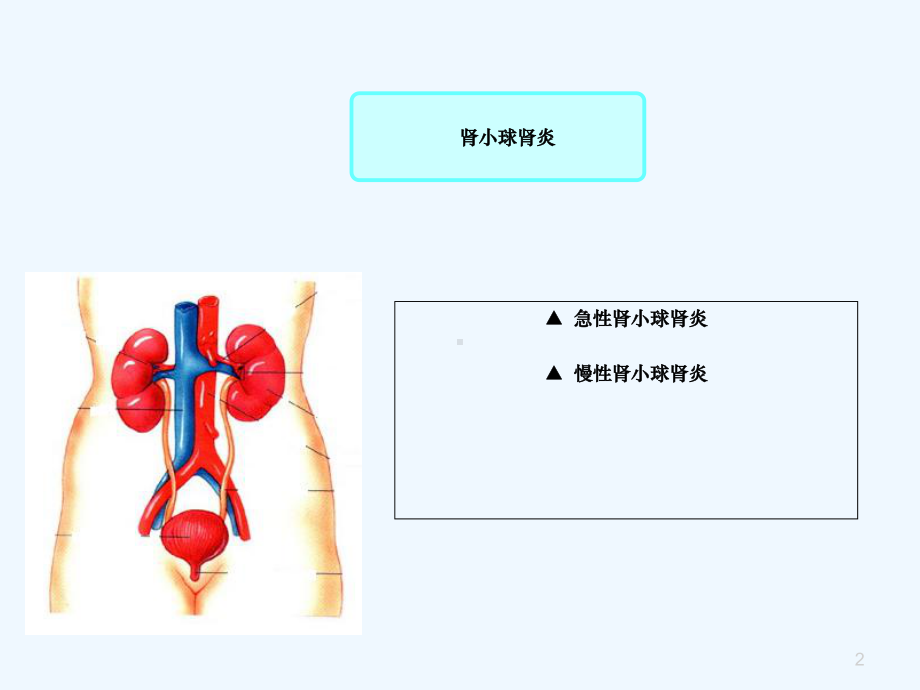 肾小球肾炎患者的护理课件.ppt_第2页