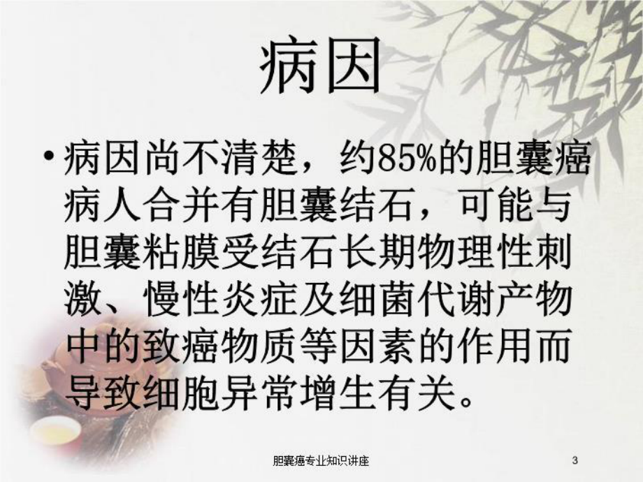 胆囊癌专业知识讲座培训课件.ppt_第3页