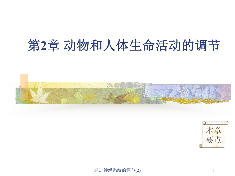 通过神经系统的调节课件2.ppt_第1页