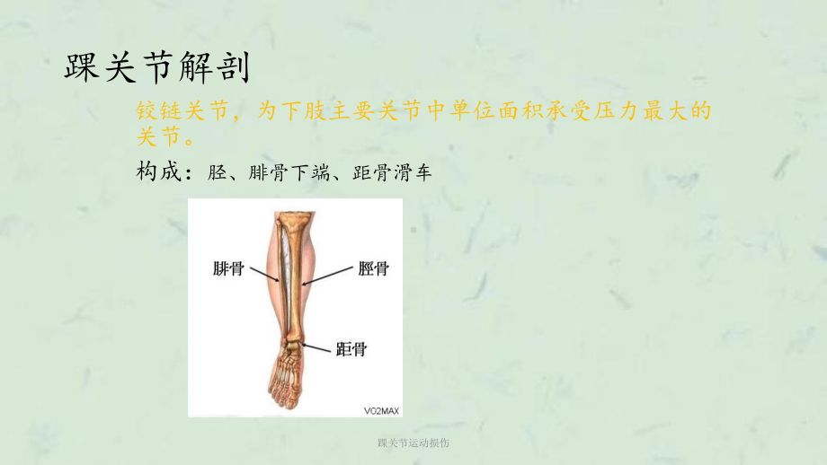 踝关节运动损伤课件.ppt_第2页