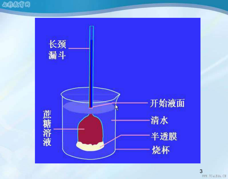 生物必修ⅰ人教新课标41物质跨膜运输的实例课件.ppt_第3页