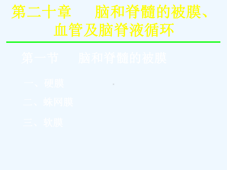 脑脊被膜血管等课件.ppt_第2页