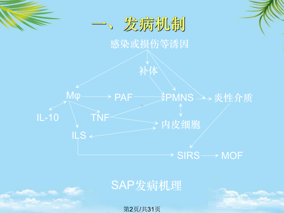 重症急性胰腺炎全面版课件.pptx_第2页