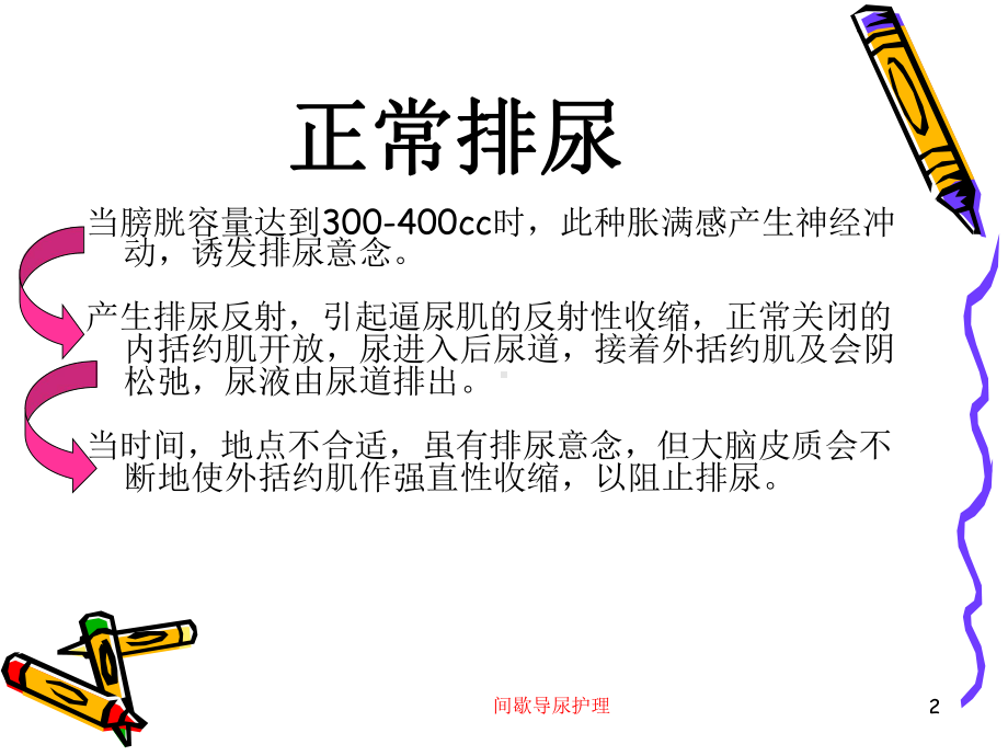 间歇导尿护理培训课件.ppt_第2页