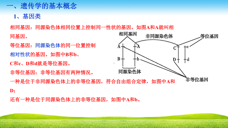 五单元讲孟德尔的豌豆杂交实验一课件.ppt_第3页