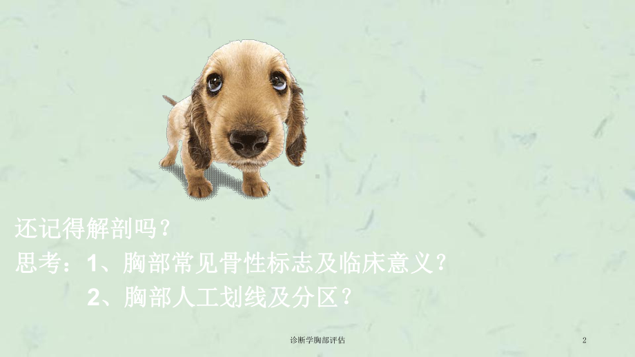 诊断学胸部评估课件.ppt_第2页