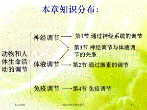 通过神经系统的调节培训课件.ppt