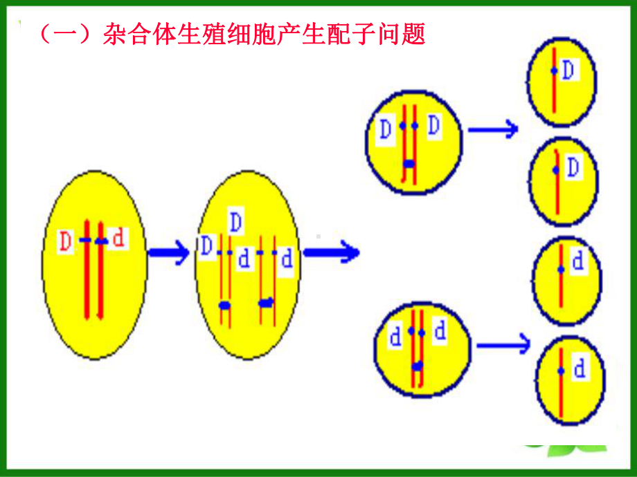 遗传和变异-生物的遗传课件-北师大版.ppt_第3页