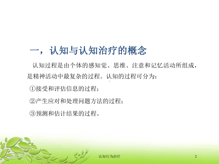 认知行为治疗培训课件.ppt_第2页