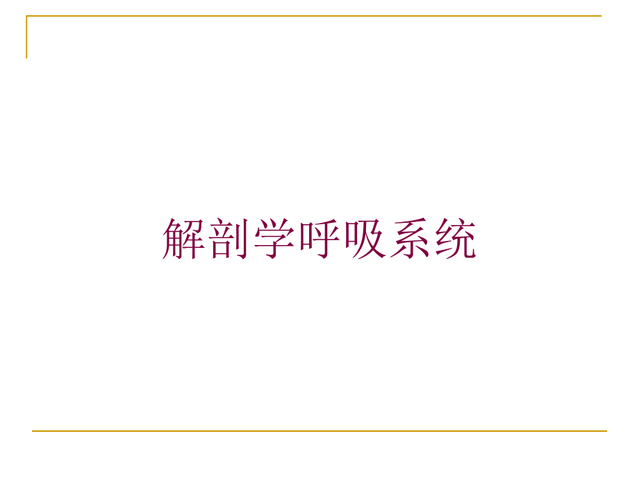 解剖学呼吸系统培训课件.ppt_第1页