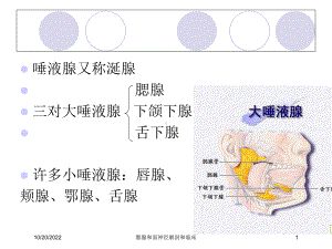 腮腺和面神经解剖和临床培训课件.ppt