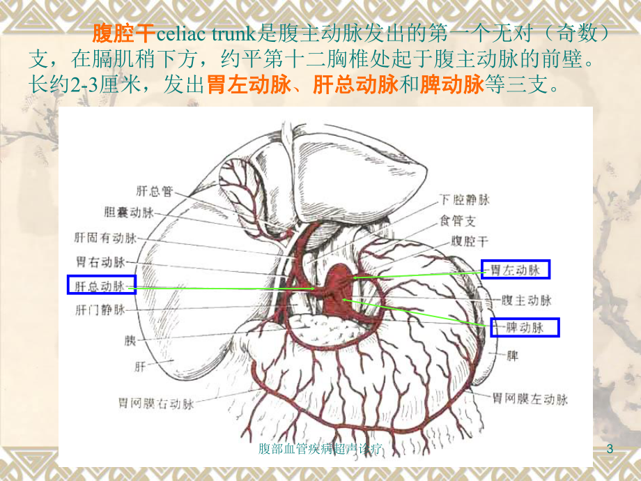 腹部血管疾病超声诊疗培训课件.ppt_第3页