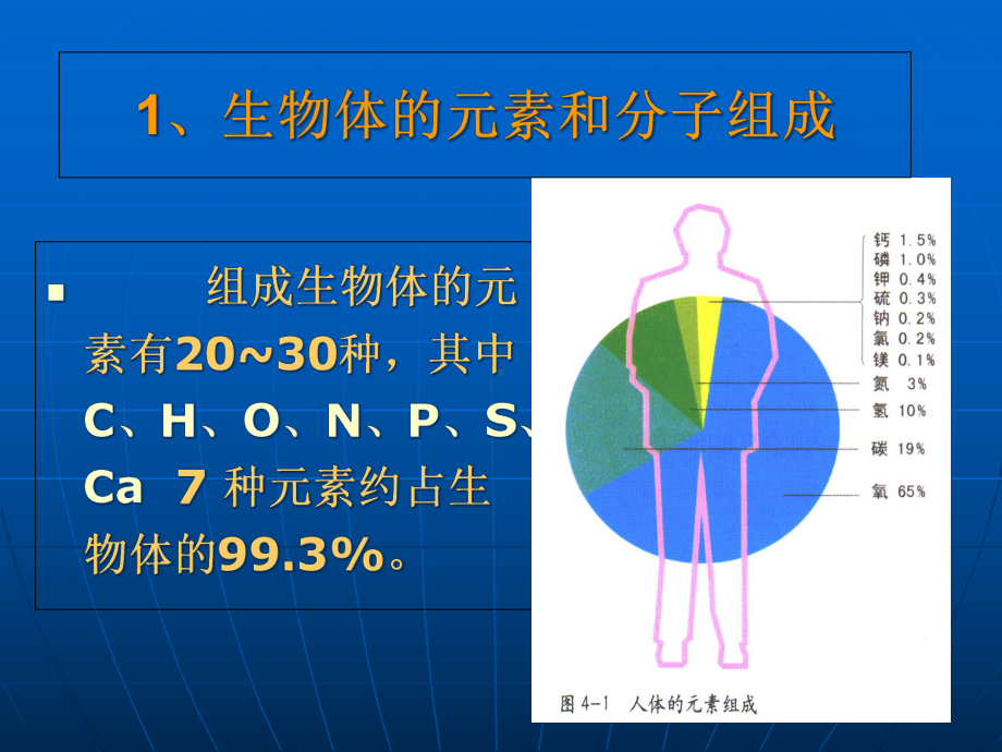 生物化学基础课件.ppt_第3页