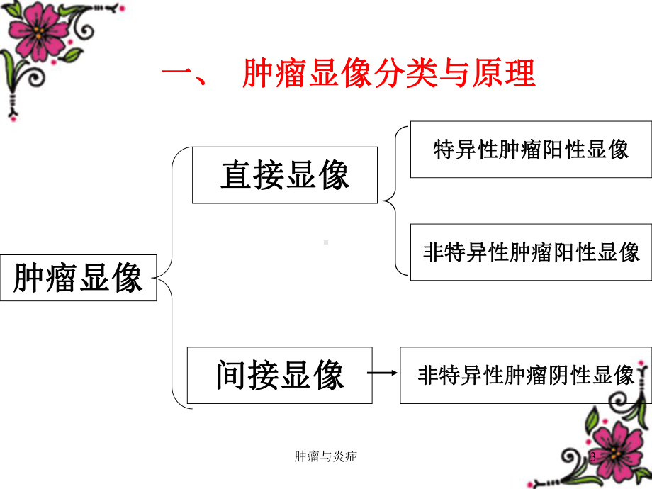 肿瘤与炎症课件.ppt_第3页