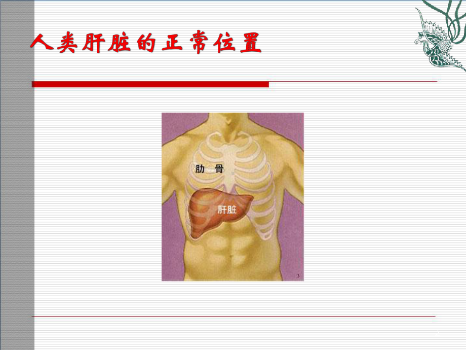 脂肪肝健康教育学习课件.ppt_第2页