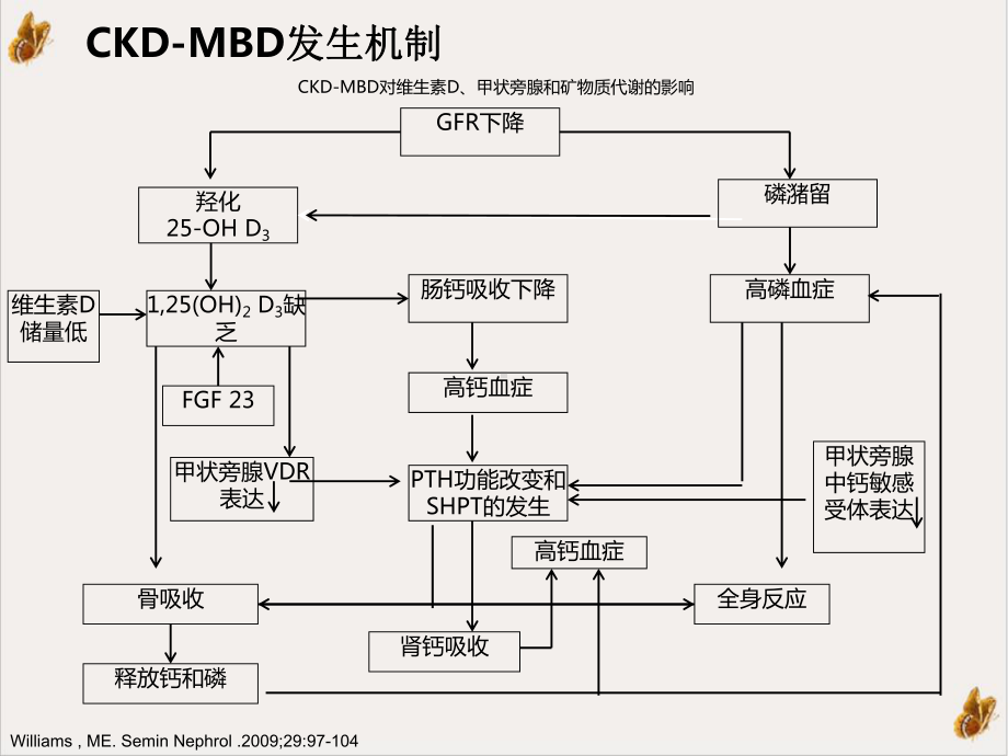 钙磷调节对治疗CKDMBD的作用课件.ppt_第2页