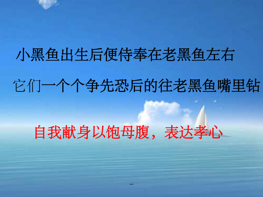 母爱的故事课件.ppt_第3页