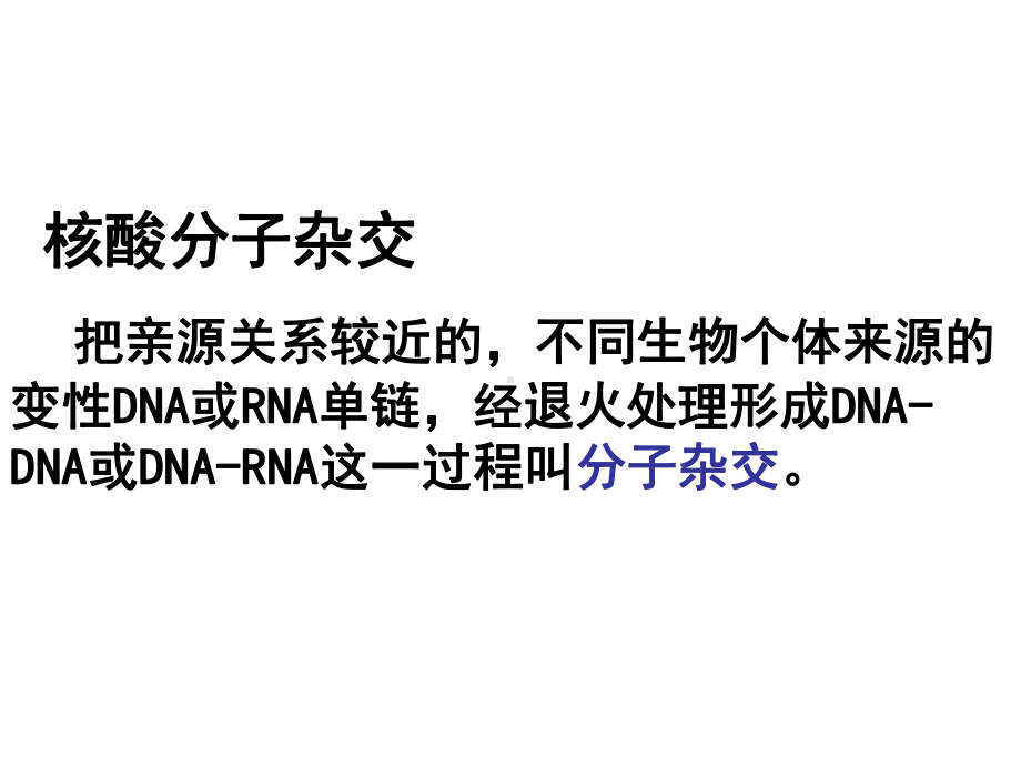 核酸分子杂交技术与核酸序列测定课件.ppt_第3页