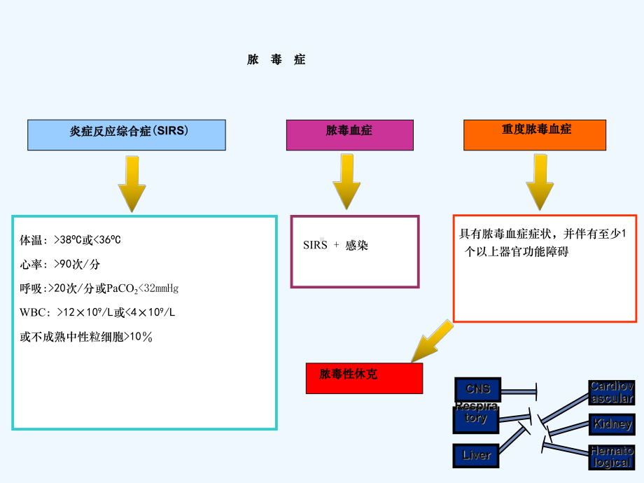 降钙素原检测临床应用课件.ppt_第3页