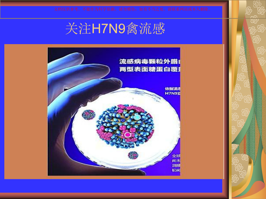 防治禽流感知识课件.ppt_第1页