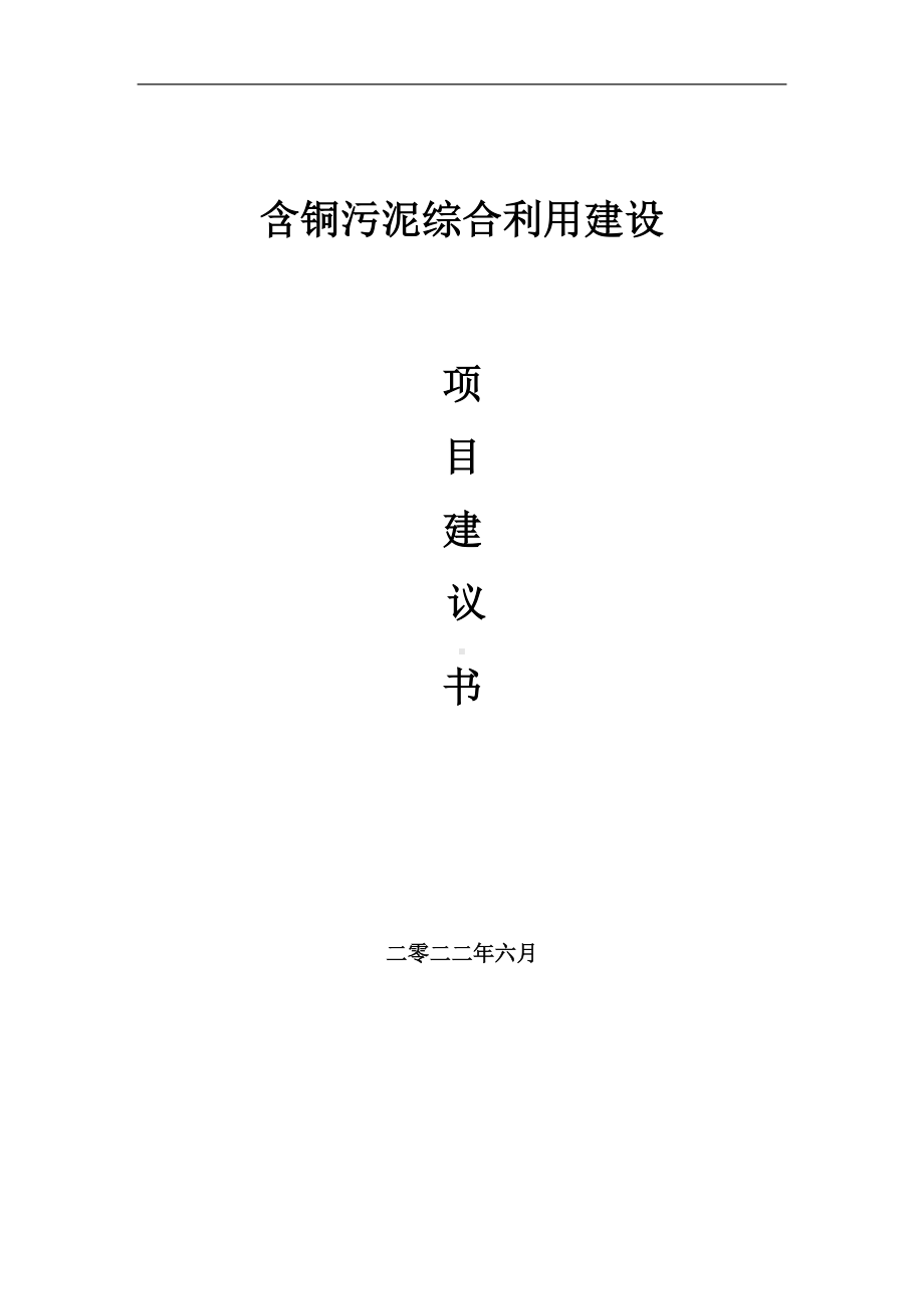 含铜污泥综合利用项目建议书（写作模板）.doc_第1页