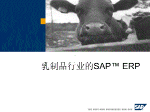 乳制品行业的SAPERP课件.ppt