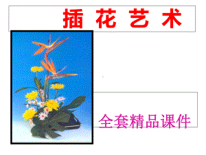 插花艺术培训全套课件.ppt