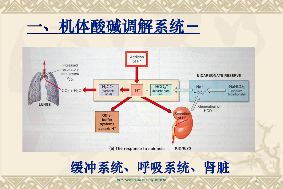 血气分析医学知识专题讲座培训课件.ppt_第3页