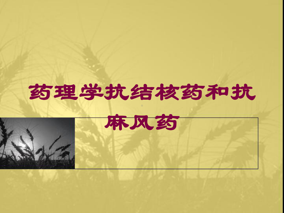 药理学抗结核药和抗麻风药培训课件.ppt_第1页