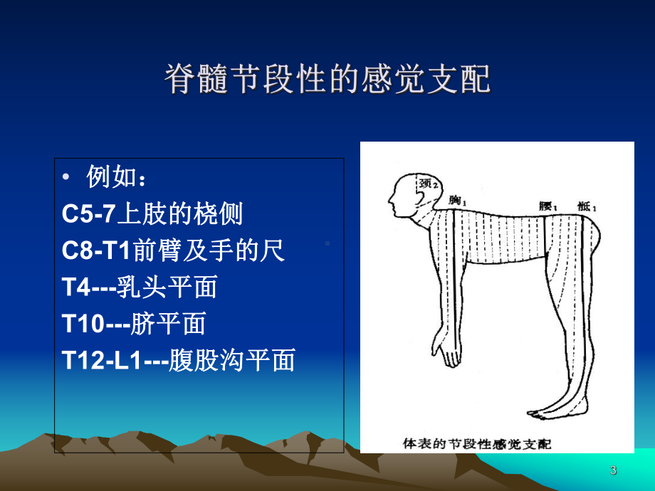 脊髓损伤评定学习课件.ppt_第3页