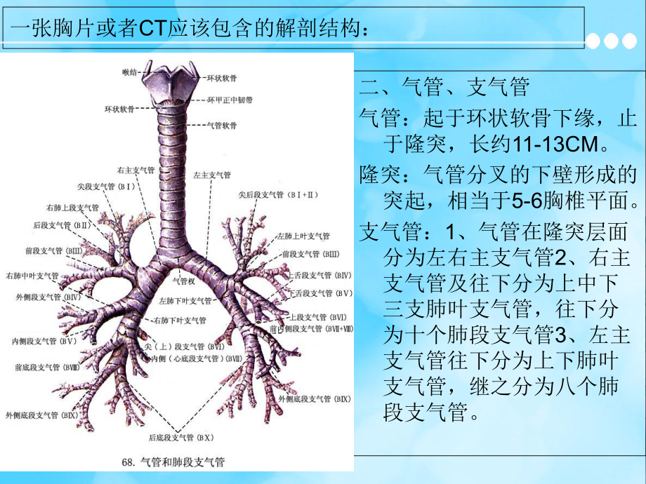 胸片及胸部CT的阅读内容及肺段定位-课件.ppt_第3页