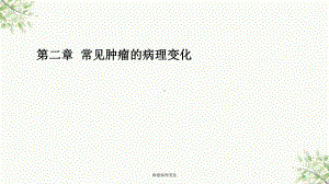 肿瘤病理变化课件.ppt