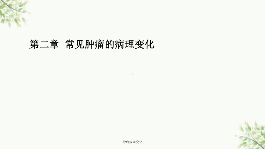 肿瘤病理变化课件.ppt_第1页